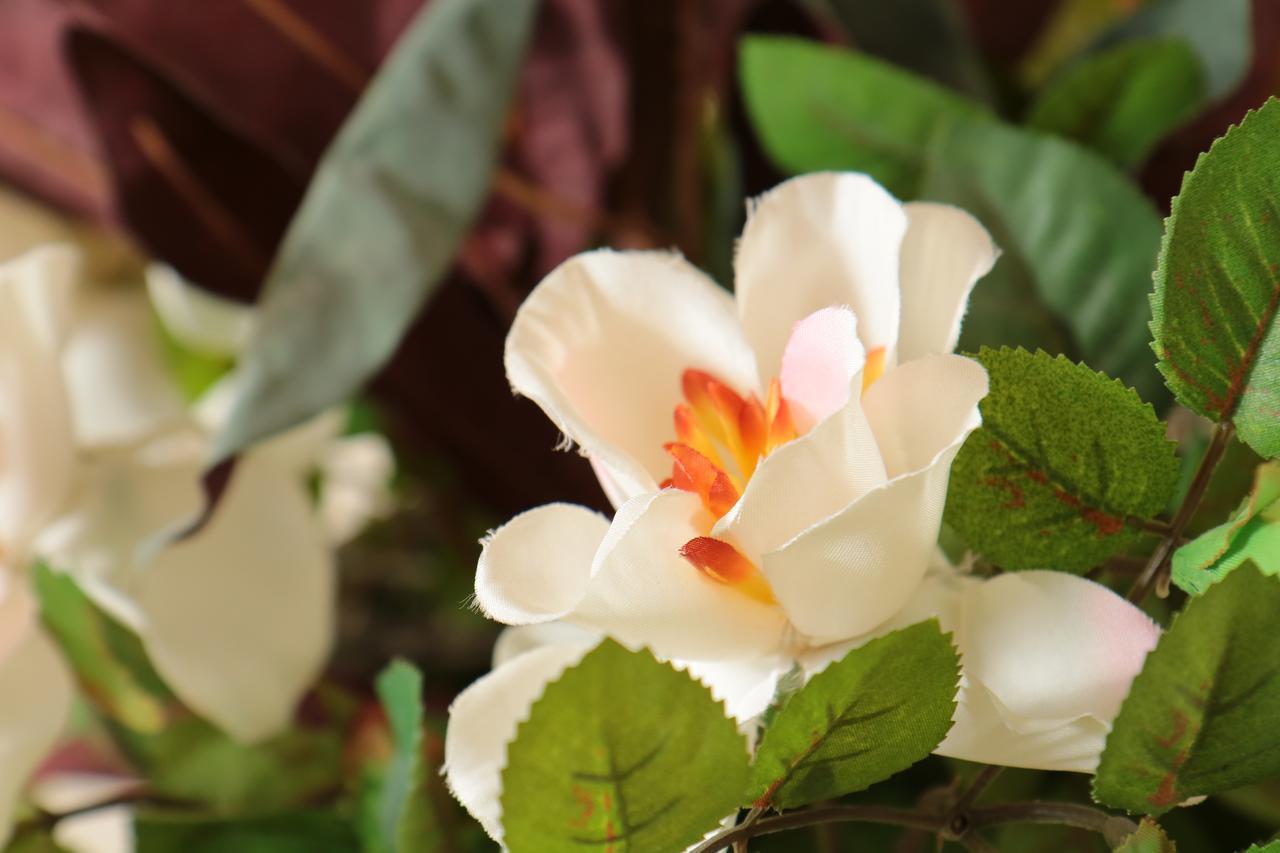 B&B Pietrarsa Portici Dış mekan fotoğraf